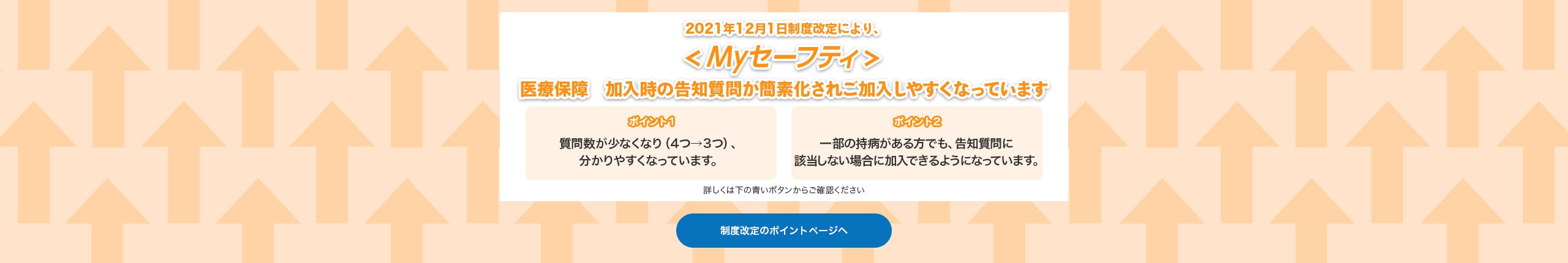 制度改定のポイントページへ